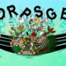 Dorpsgek festival bij Lijm & Cultuur